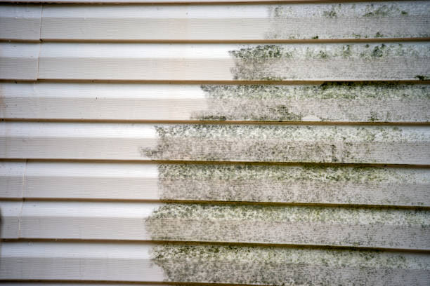 Best Construction Debris Removal  in Zolfo Springs, FL